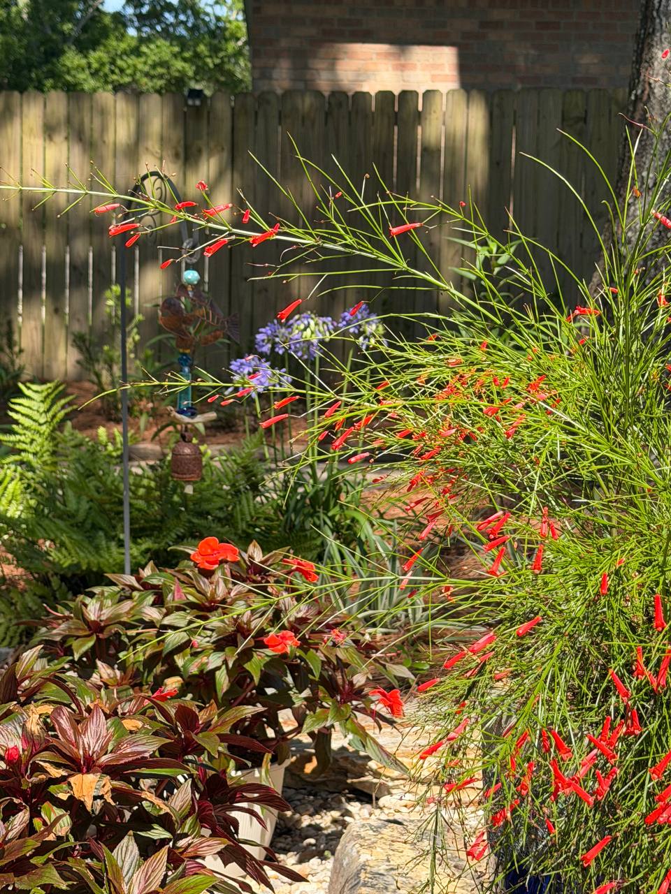 Seasonal color and planter detail 5 at a residential entry landscape